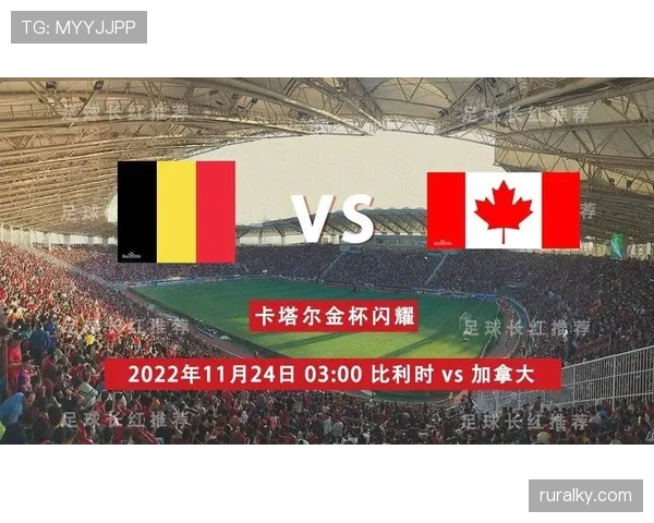伊朗对阵比利时关键数据分析 伊朗对阵比利时关键数据分析
